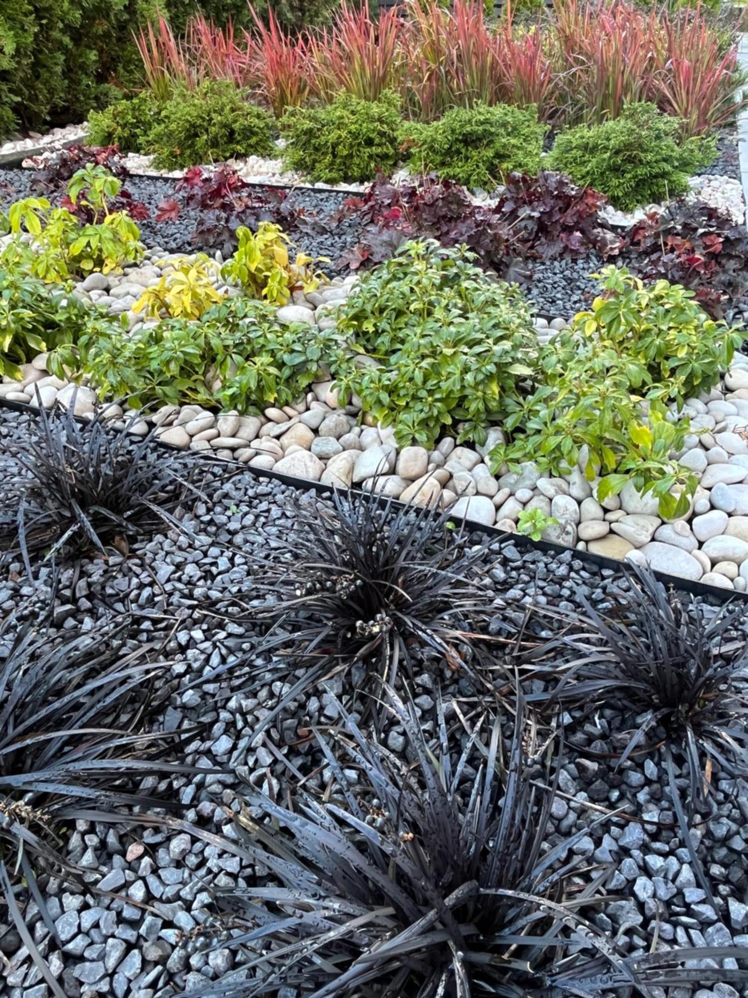 Bela - Pokoje Z Aneksami I Apartamenty Kołobrzeg Esterno foto